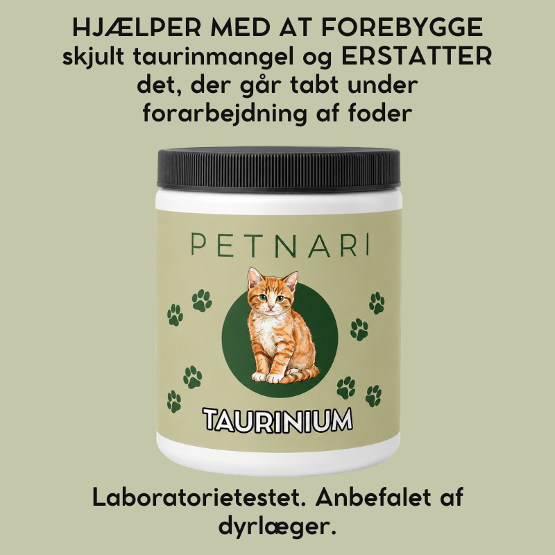 Taurin til Katte