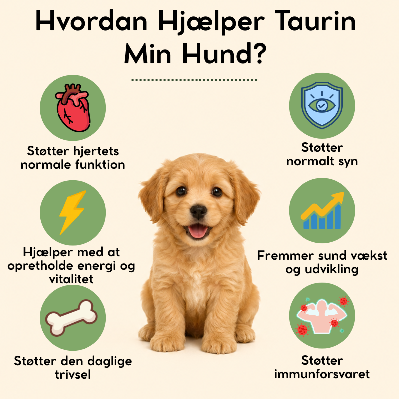 Petnari Taurin til Hunde