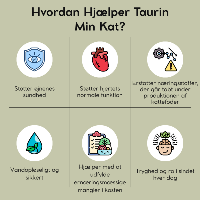 Taurin til Katte